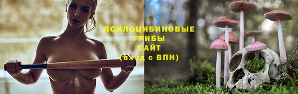 МДПВ Бугульма