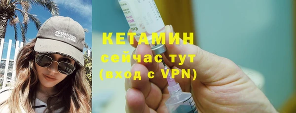 дживик Пересвет