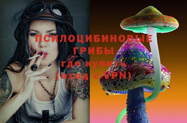 mdpv Ладушкин