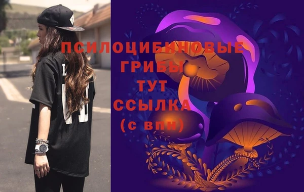 СК Лагань