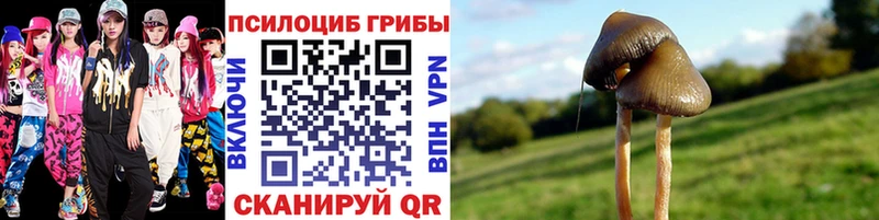 где найти KRAKEN ССЫЛКА Псилоцибиновые грибы MAGIC MUSHROOMS Заозёрск
